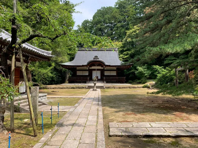 When Silence Speaks: What Sagamihara's Sound Traditions Can Teach You About Living Quieter